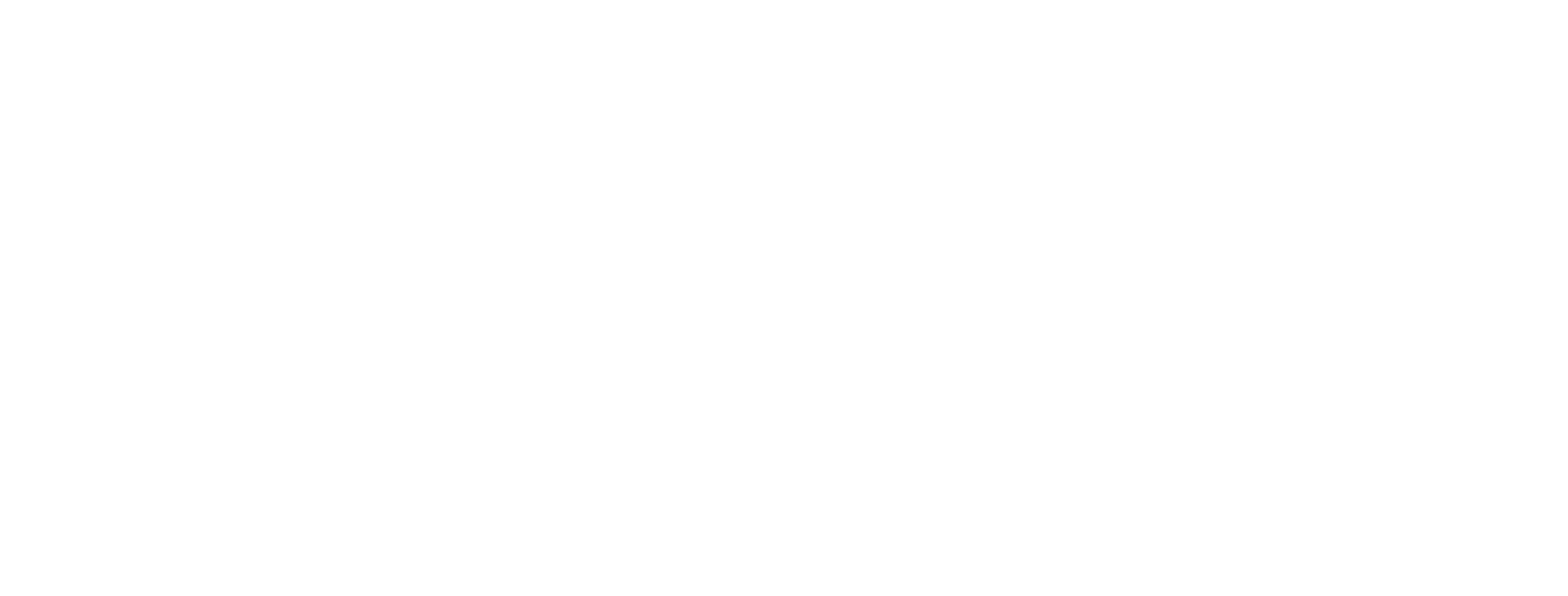 LDCN White Logo